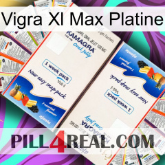 Vigra Xl Max Platinum kamagra1